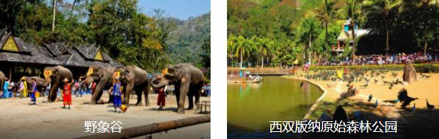 ��˫��������3����·