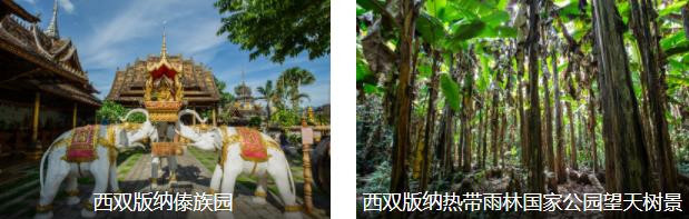 ��˫���ɷ���1����·