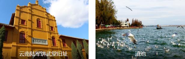 ������˫���ɶ���5����·