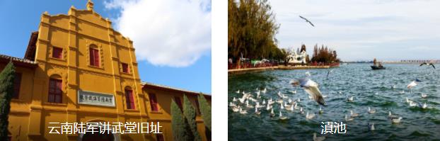 ������˫���ɷ���5����·