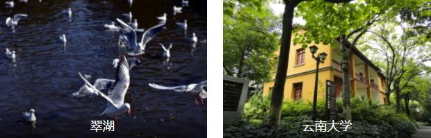 昆明穷游3日线路