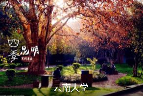 昆明东川红土地3日线路