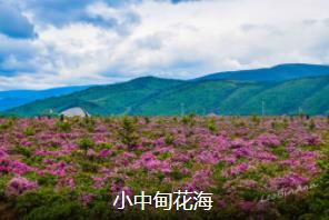 迪庆自驾休闲4日游