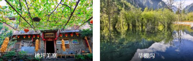 ����317�ؾ�8����·