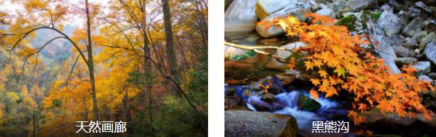 巴中经典1日线路