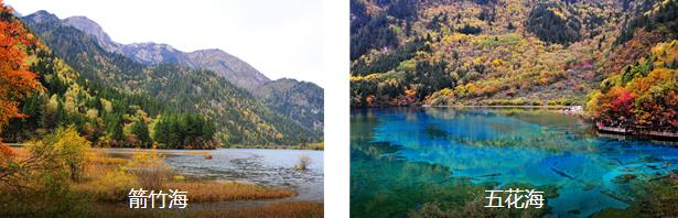 �Ż�С��������