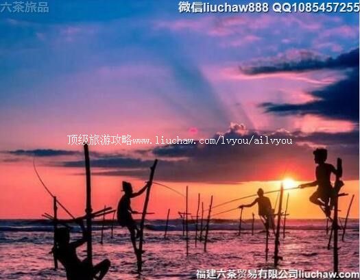 斯里兰卡自由行10日旅游攻略