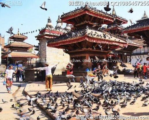 �Ჴ��������7�����ι���