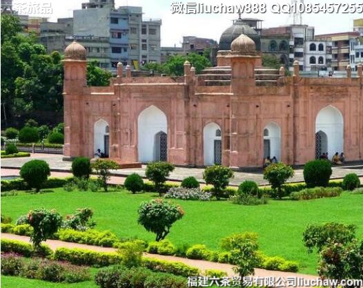 �ϼ�����������10�����ι���