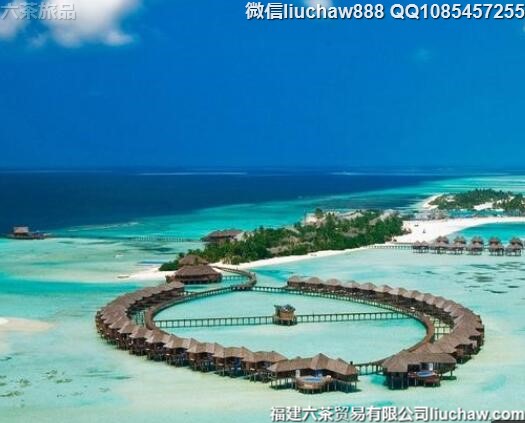 ��������������ʮ�����ι���