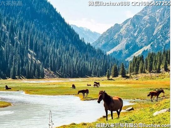 吉尔吉斯斯坦自由行5日旅游攻略