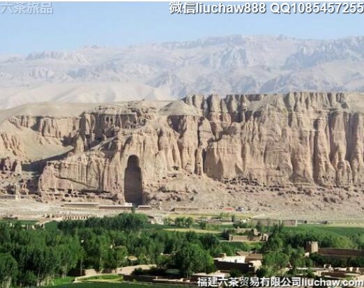 ������������5�����ι���