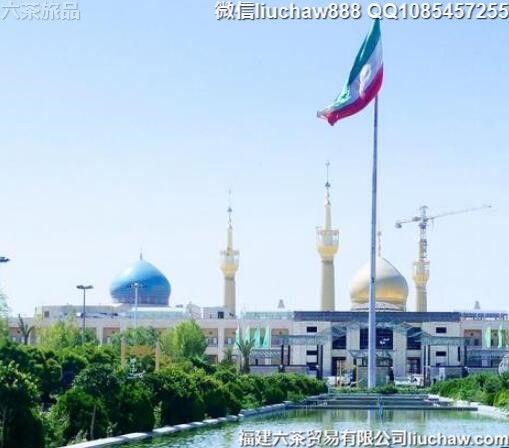 ����������8�����ι���