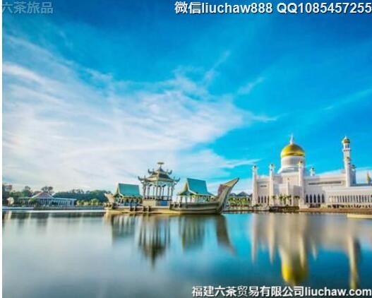 ����������6�����ι���