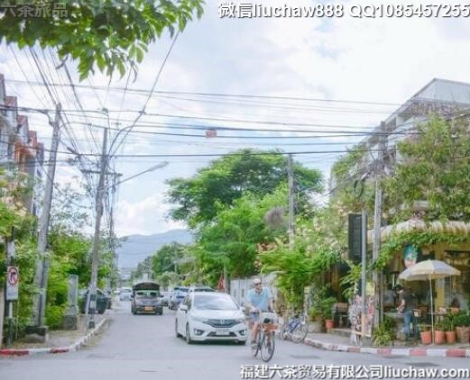 ̩���������������ι���