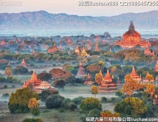 ���������9�����ι���