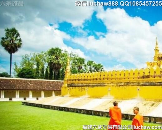 ����������10�����ι���