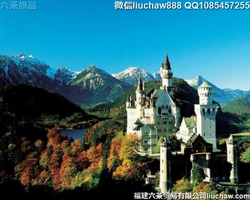 �¹��������������ι���