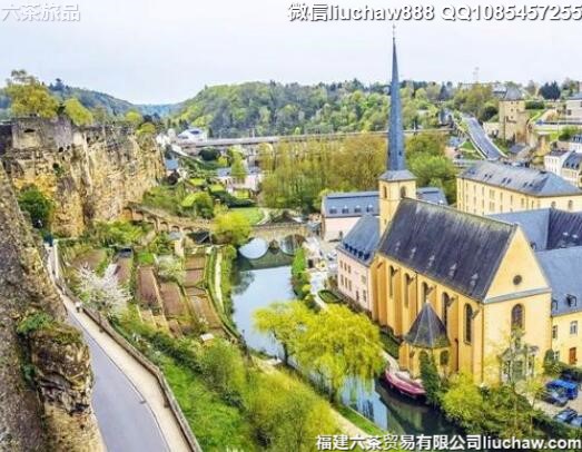 ¬ɭ����������ŷ3��10�����ι���