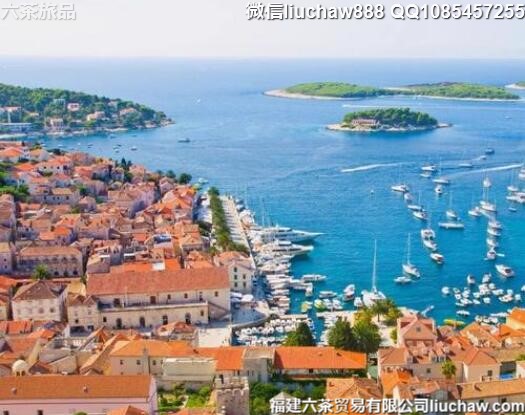 ���޵��������о���12�����ι���