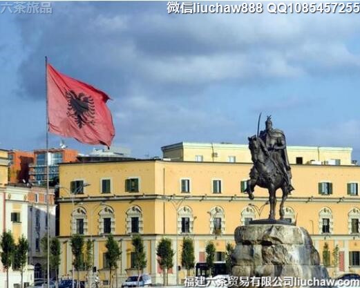 ����������������8�����ι���