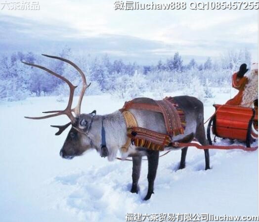 ���������м���ʥ����10�����ι���