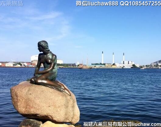 ����������ͯ������6�����ι���