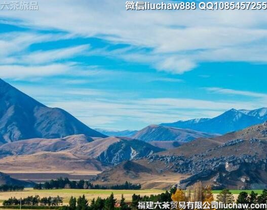 ������������ʮ�������ι���