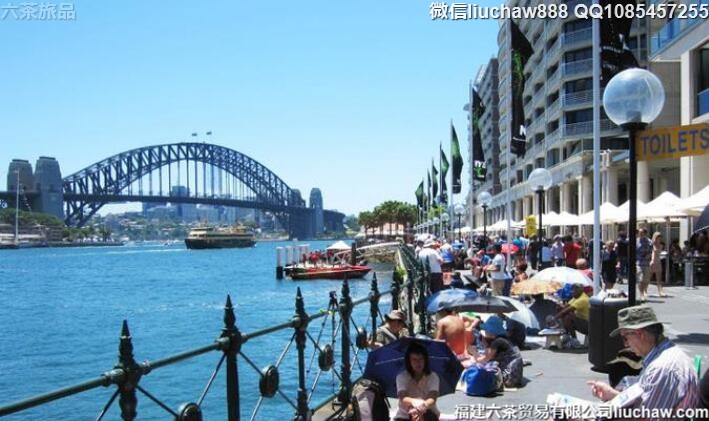 �Ĵ������������������ι���