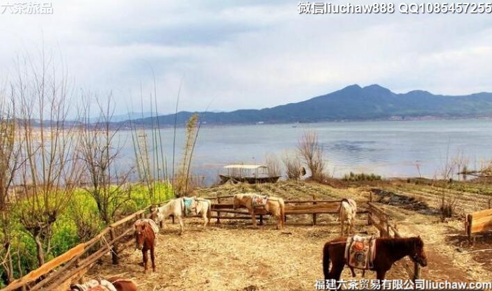 云南丽江香格里拉自由行六日旅游攻略