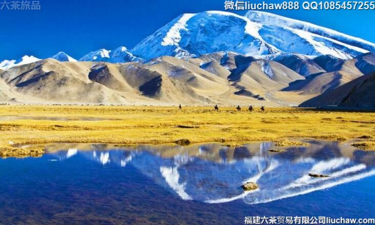 �Ͻ��������������ι���