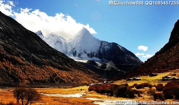 �Ĵ������Ƕ��������������ι���