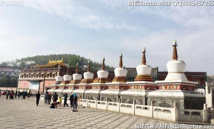 �ຣ���������������ι���