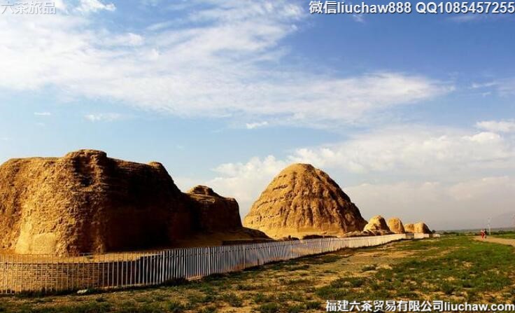 �����������������ι���