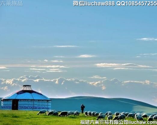 ���ױ����������������ι���