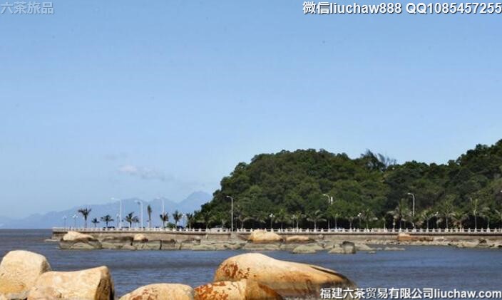 �麣�����ж������ι���