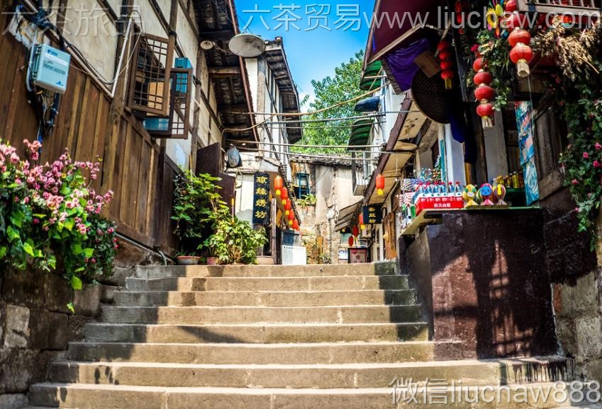 ����-�����ڹ���