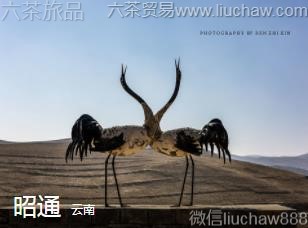 ����-��ͨ