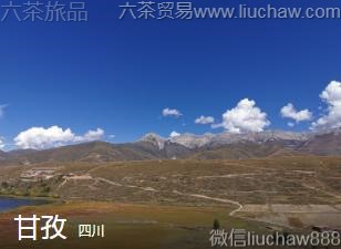 �Ĵ�-����