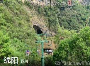 �Ĵ�-����