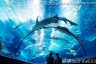 �Ϻ�-����ˮ���