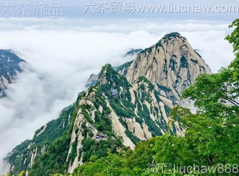 ����-��ɽ