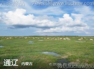 ���ɹ�-ͨ��