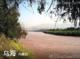 ���ɹ�-�ں�