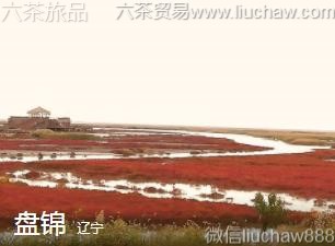 ����-�̽�