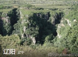 ����-����