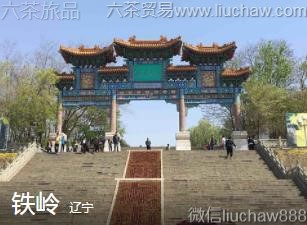 ����-����