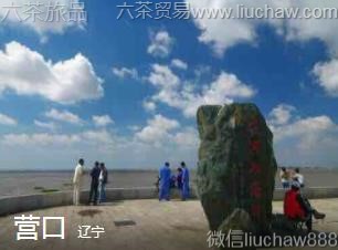 ����-Ӫ��