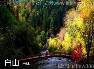 ����-��ɽ