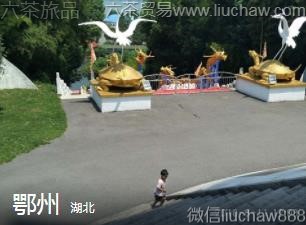 ����-����